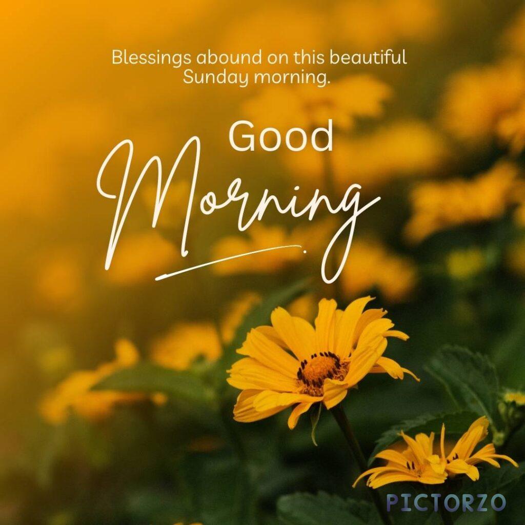 A close-up photo of a yellow sunflower with orange and brown center. The sunflower is surrounded by green leaves and Jerusalem artichoke plants. The text "Blessings abound on this beautiful Sunday morning. Good Morning" is overlaid on the image.