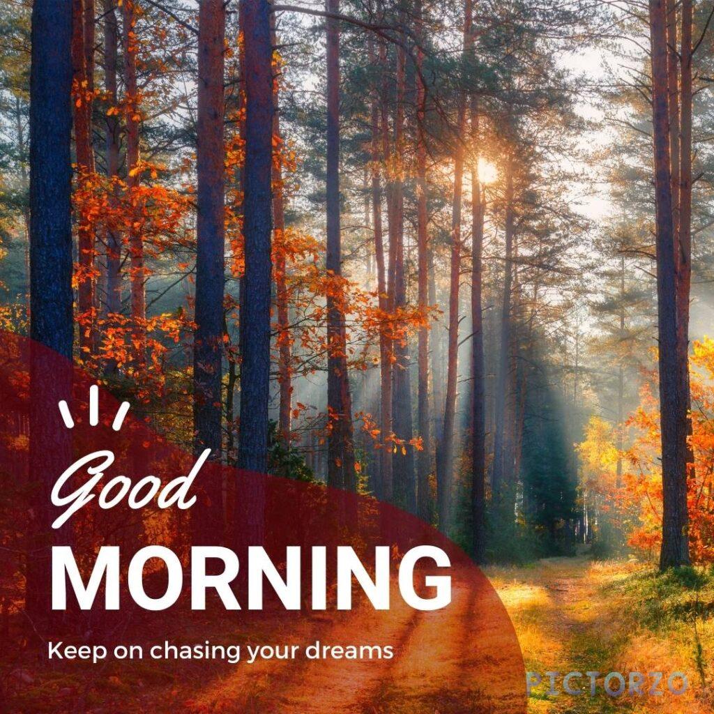 A photo of a forest with trees and leaves changing color in the fall. The sun is shining through the trees and the leaves are changing color to red, orange, and yellow. The text "Good MORNING" is overlaid on the image, along with the text "Keep on chasing your dreams.