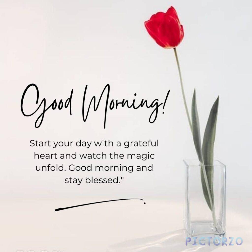 Good morning! Start your day with a grateful heart and watch the magic unfold. Good morning and stay blessed