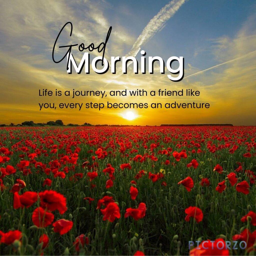 The image shows a beautiful sunrise over a field of poppies. The text on the image says, "Life is a journey, and with a friend like you, every step becomes an adventure." This image is perfect for sending to a friend to start their day off on a positive note.