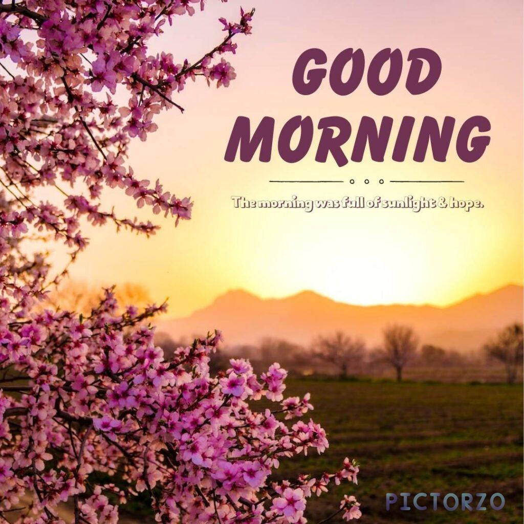 he warm sunlight and lush greenery evoke feelings of peace and optimism. The text GOOD MORNING adds a personal touch to the image, making it a great way to start someone's day.