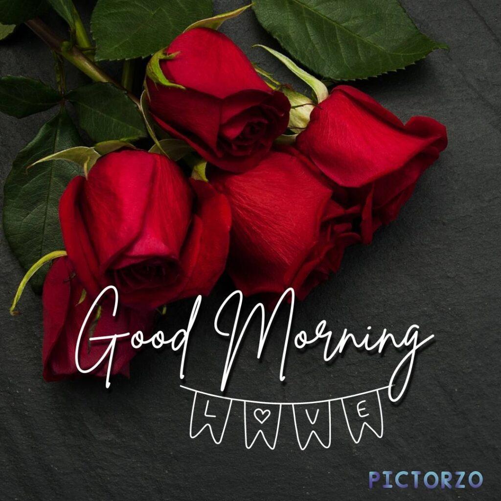A bouquet of red roses on a black background, with the text "Good Morning" in the foreground. The roses are in full bloom, with velvety petals and delicate green leaves. The black background makes the roses stand out even more, creating a striking and romantic image.