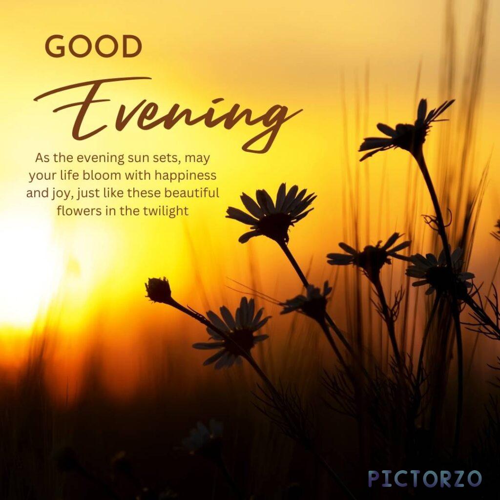 A beautiful image of a variety of flowers blooming in the twilight, as the evening sun sets. The text in the image reads "Good Evening. As the evening sun sets, may your life bloom with happiness and joy, just like these beautiful flowers in the twilight.