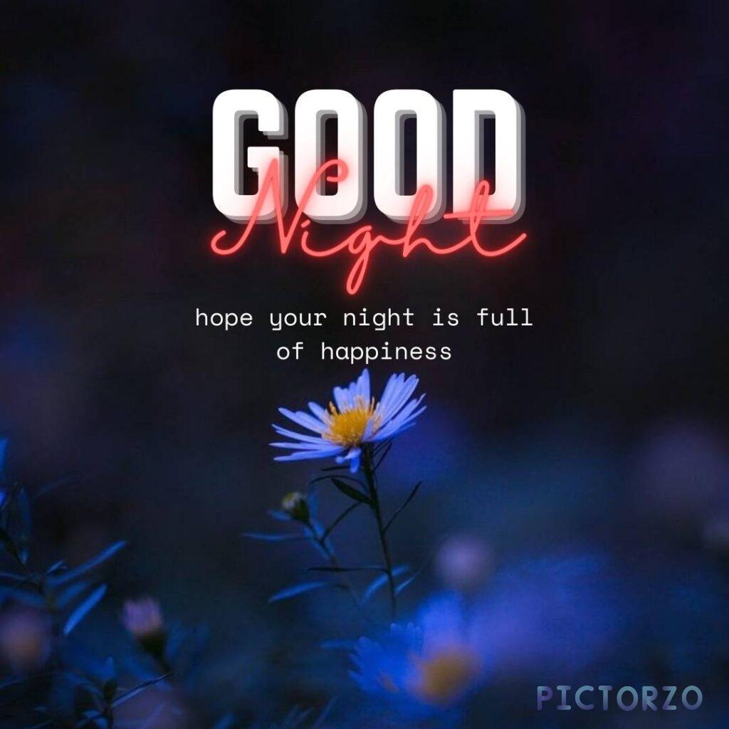 A black background with the text "GOOD NIGHT, FRIEND. I HOPE YOUR NIGHT IS FULL OF HAPPINESS." written in white, cursive letters. The text is centered in the image, and there is a small, white heart to the right of it.