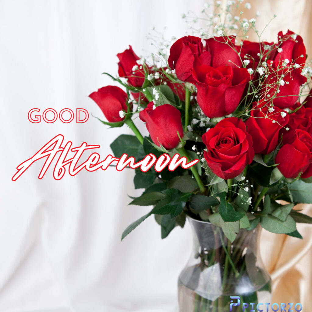 A bouquet of bright red roses in a vase, with a single white rose in the center. The text GOOD AFTERNOON is superimposed on the image in a white cloth.