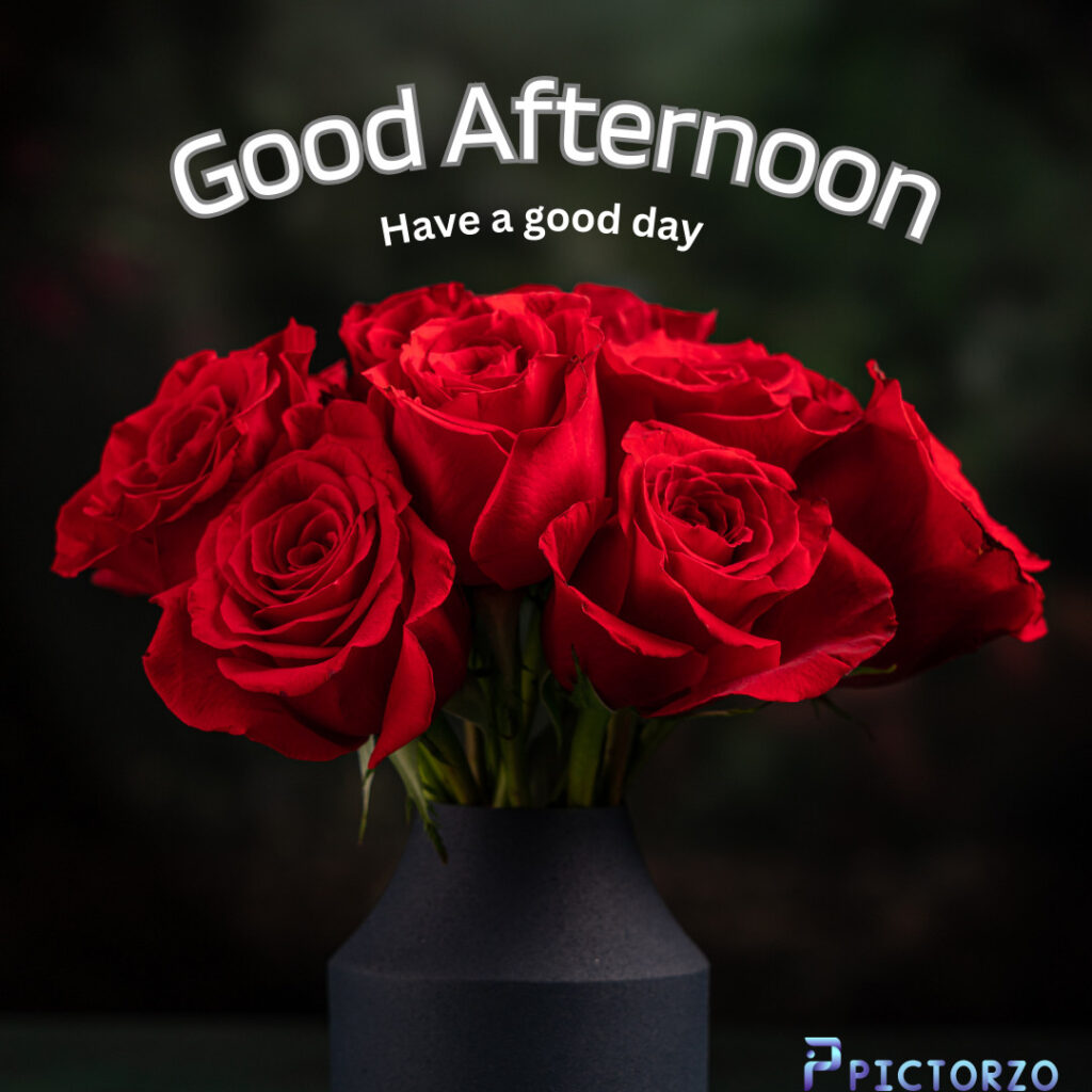 A bouquet of red roses in a black vase. The roses are fresh and vibrant, with dewy petals and green leaves. The vase is simple and elegant, and the roses are arranged in a way that is both pleasing to the eye and functional. The text "Good Afternoon" is overlaid on the image in a white font.
