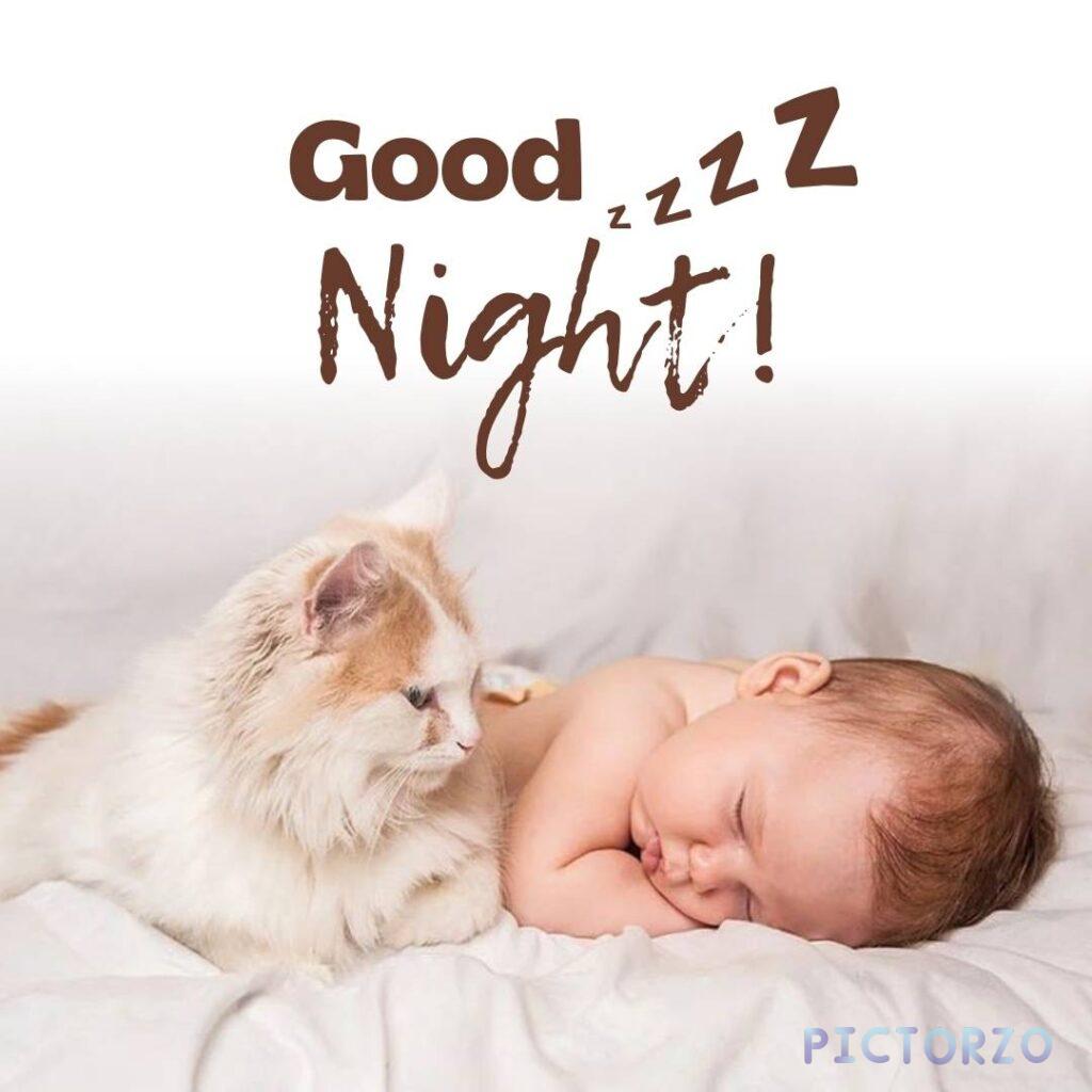A cat and a baby sleeping soundly next to each other on a bed, with the text Good night! in the foreground