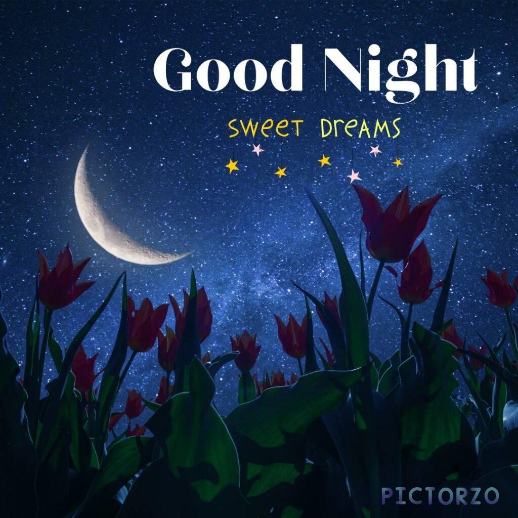 A crescent moon and red flowers in a night sky, with the text Good Night sweet dream below it.