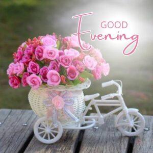 A pink bicycle with a basket full of pink flowers on its handlebars. The bicycle is parked in front of a white picket fence and a flower bed. The text "Evening GOOD" is written in black letters on a white background above the bicycle.