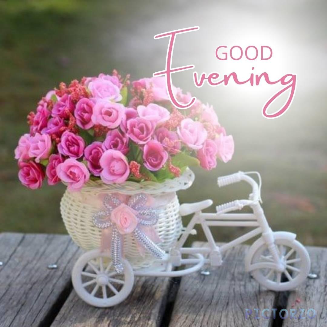 A pink bicycle with a basket full of pink flowers on its handlebars. The bicycle is parked in front of a white picket fence and a flower bed. The text "Evening GOOD" is written in black letters on a white background above the bicycle.