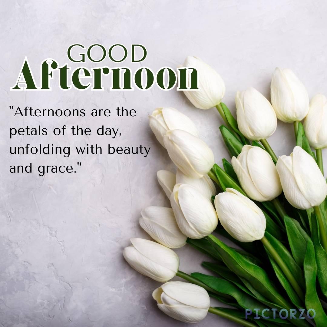 Good Afternoon Flower Images 1 Bunch of white flowers with the text GOOD Afternoon and Afternoons are the petals of the day, unfolding with beauty and grace