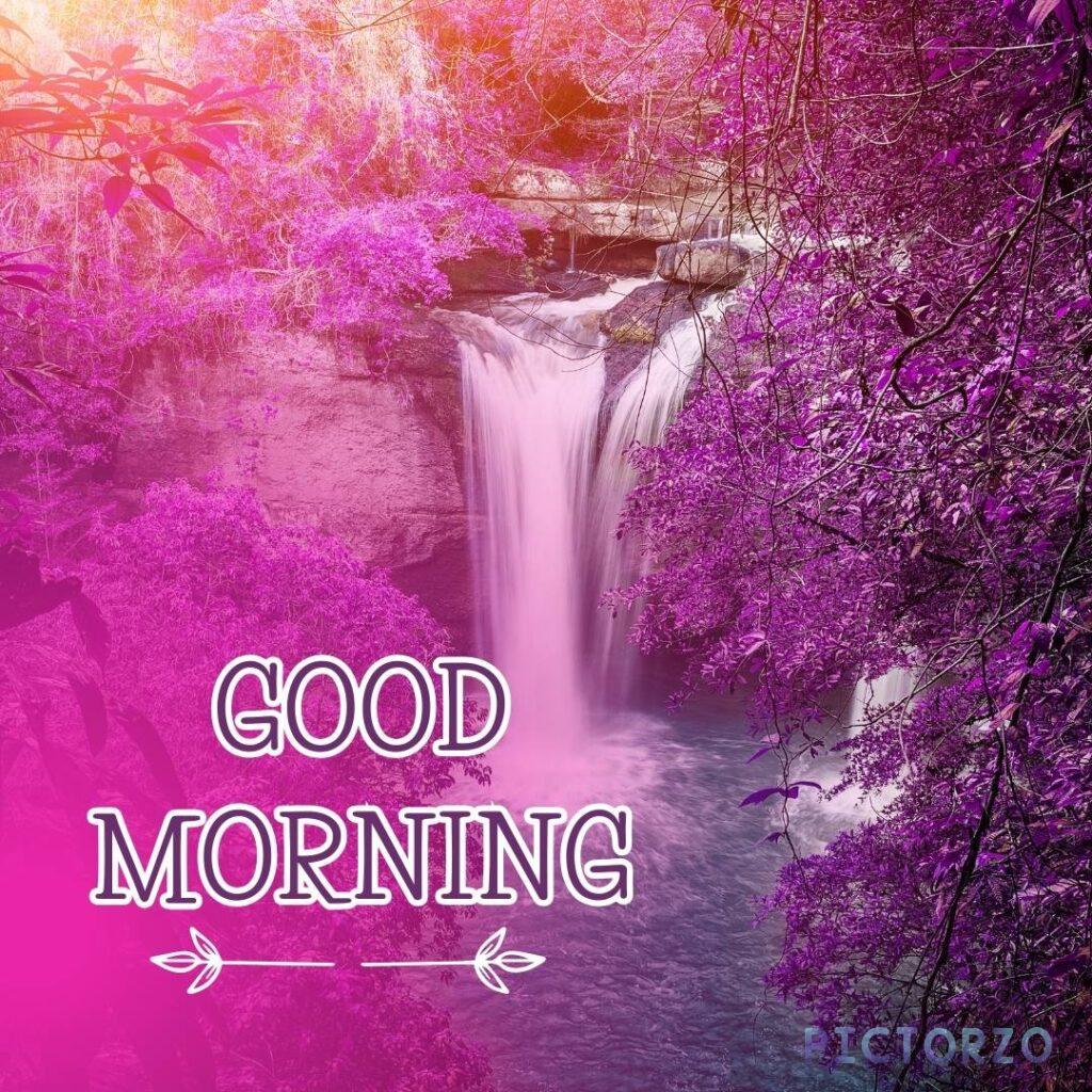 Good Morning Nature images 2 A photo of a waterfall surrounded by purple flowers. The waterfall is cascading down a rock face and the water is white and foamy. The purple flowers are in bloom and they are scatteredaround the