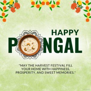 A festive image celebrating Pongal, a South Indian harvest festival. It shows a bowl of sweet Pongal (rice pudding) with dry fruits, surrounded by flowers and the text "Happy Pongal." A message wishes for happiness, prosperity, and sweet memories.